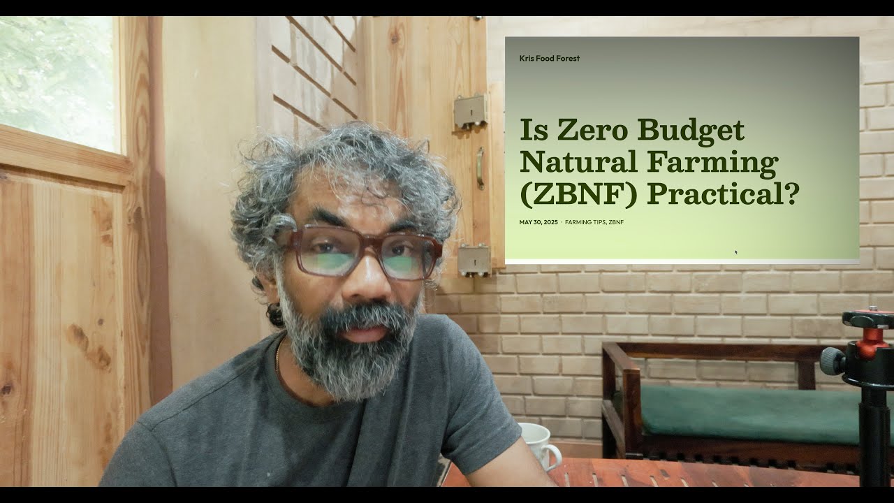 Is Zero Budget Natural Farming (ZBNF) Practical? | Real Challenges Farmers Face