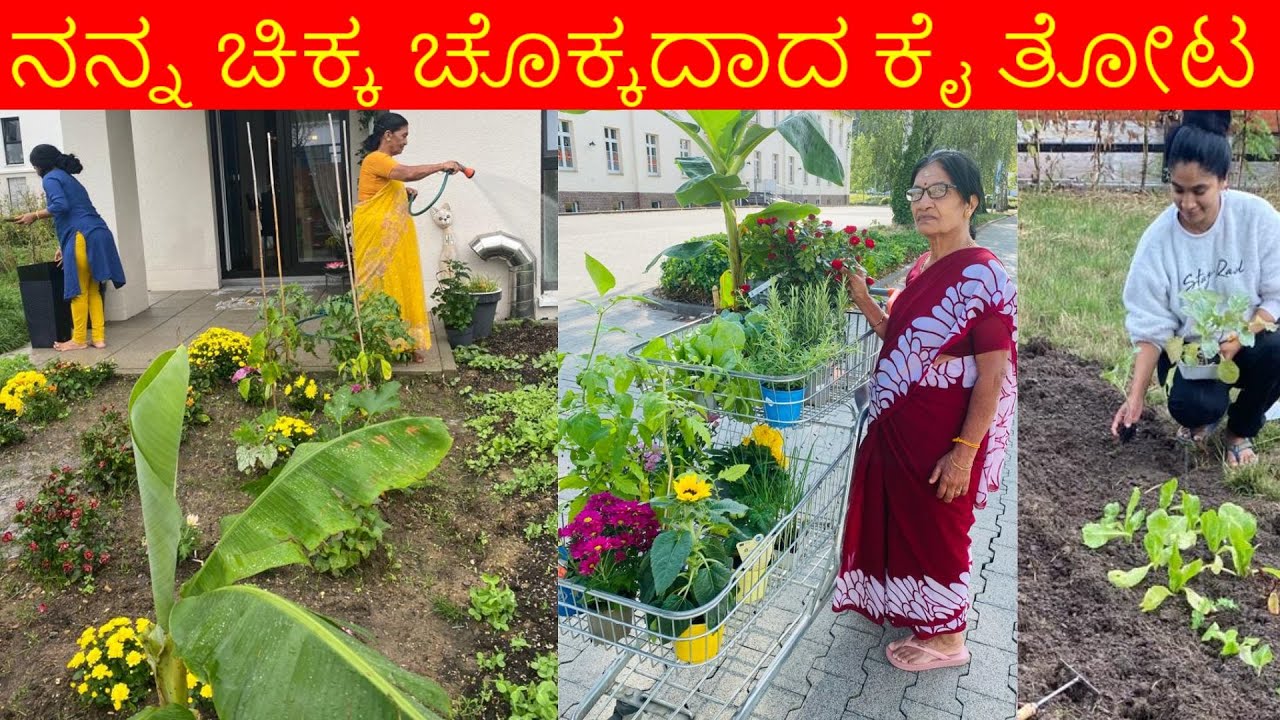 ನನ್ನ ಚಿಕ್ಕ ಚೊಕ್ಕದಾದ ಕೈ ತೋಟ  - My little garden in Germany - Kannada Vlogs in Germany