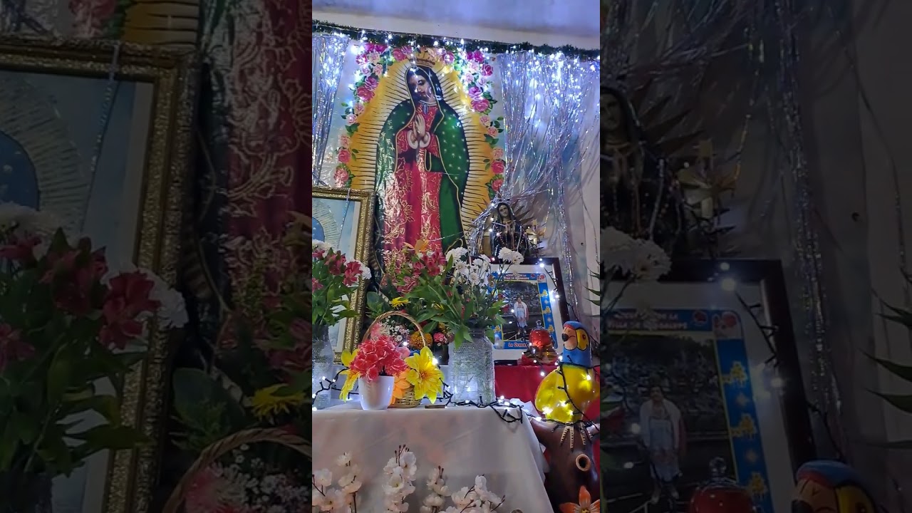 Gozo a la Virgen de Guadalupe.