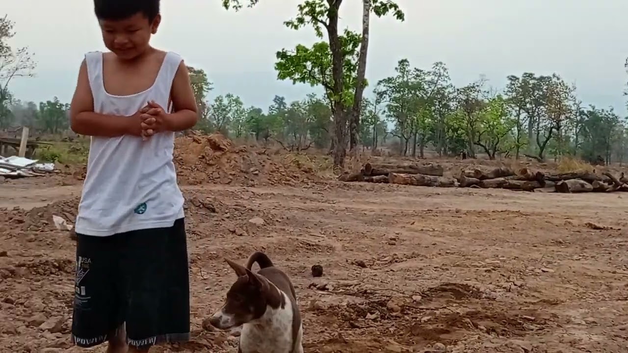 សំណាងណាស់បងស៊ីមបានមាន់បានទារបានជ្រូកចិញ្ចឹម