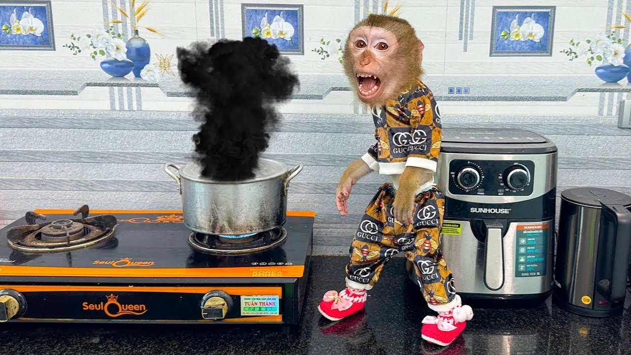Monkey Kaka panicked and called his mom when saw the pot was burning.
