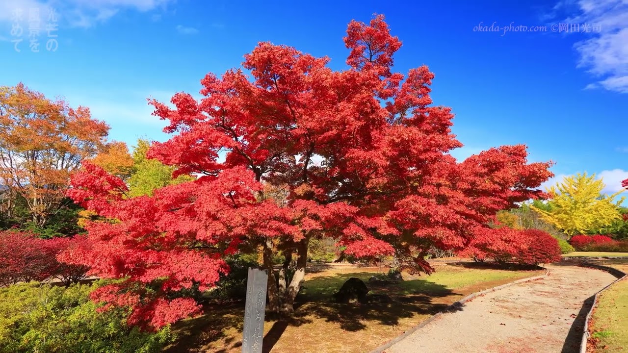 榮尚いろは紅葉 総集編