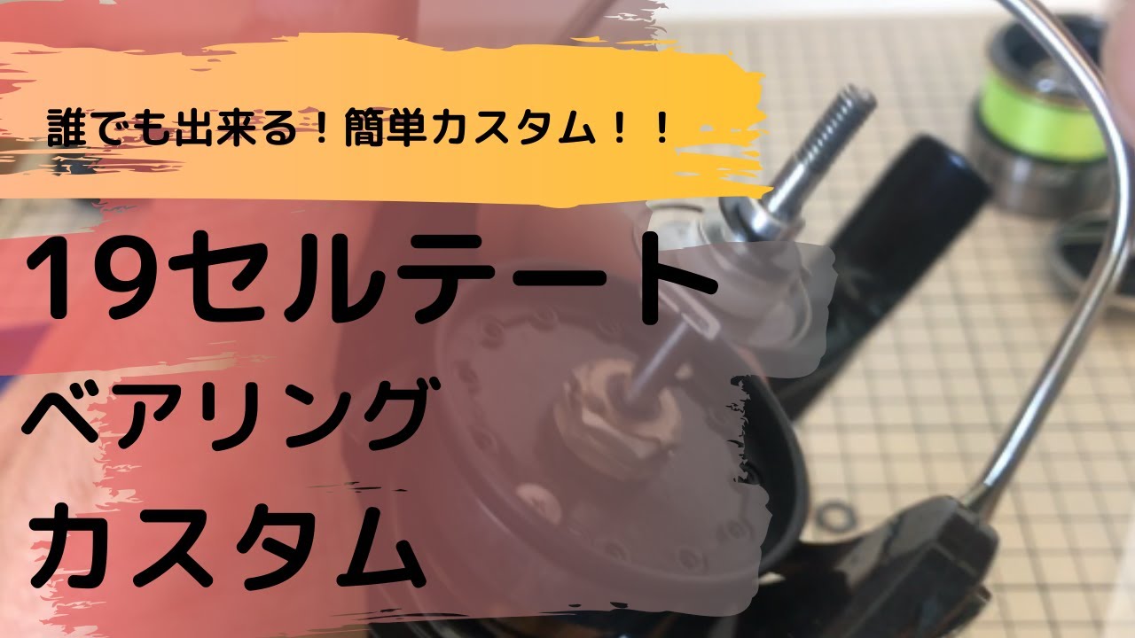 【19セルテート】ベアリング追加。簡単カスタム！