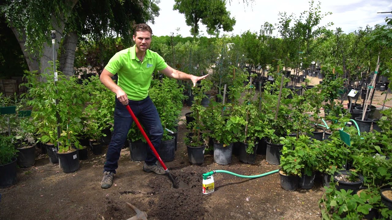 Ground Breaker&trade; - Loosen Compacted Clay Soil & Rock-Hard Dirt!