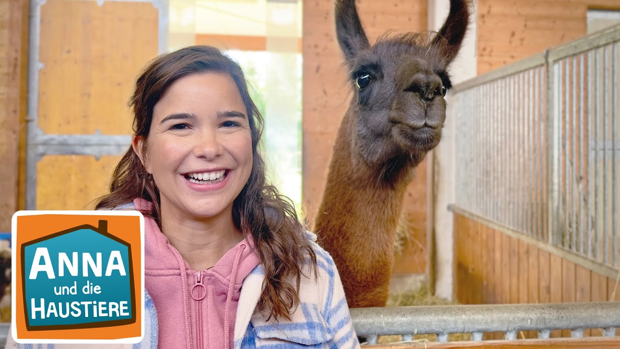 Ein Tag mit Therapietieren | Information für Kinder | Anna und die Haustiere | Spezial