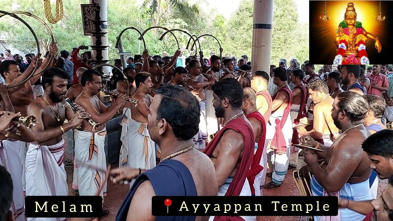 Dont Skip-Chenda Melam performance | Ayyappan temple| Kerala Chenda Melam | #swamysaranam #ayyappa