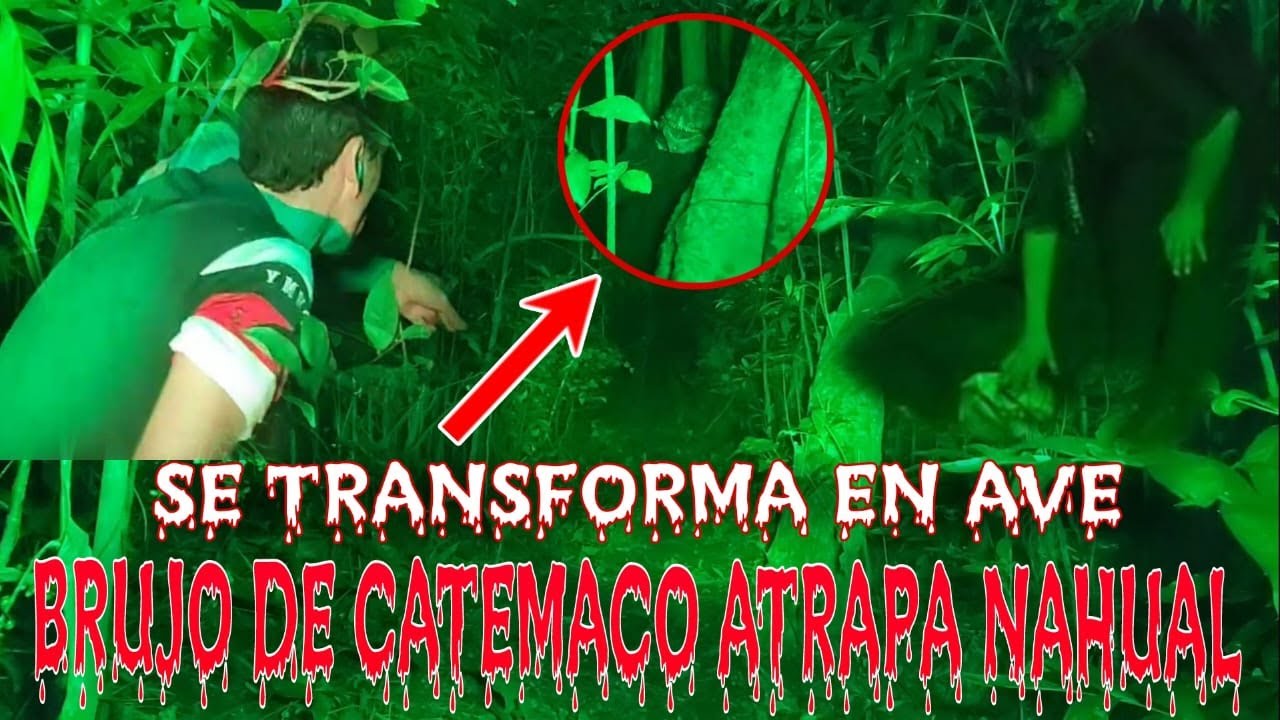 Brujo de Catemaco atrapa Nahual (Se transforma en Ave)