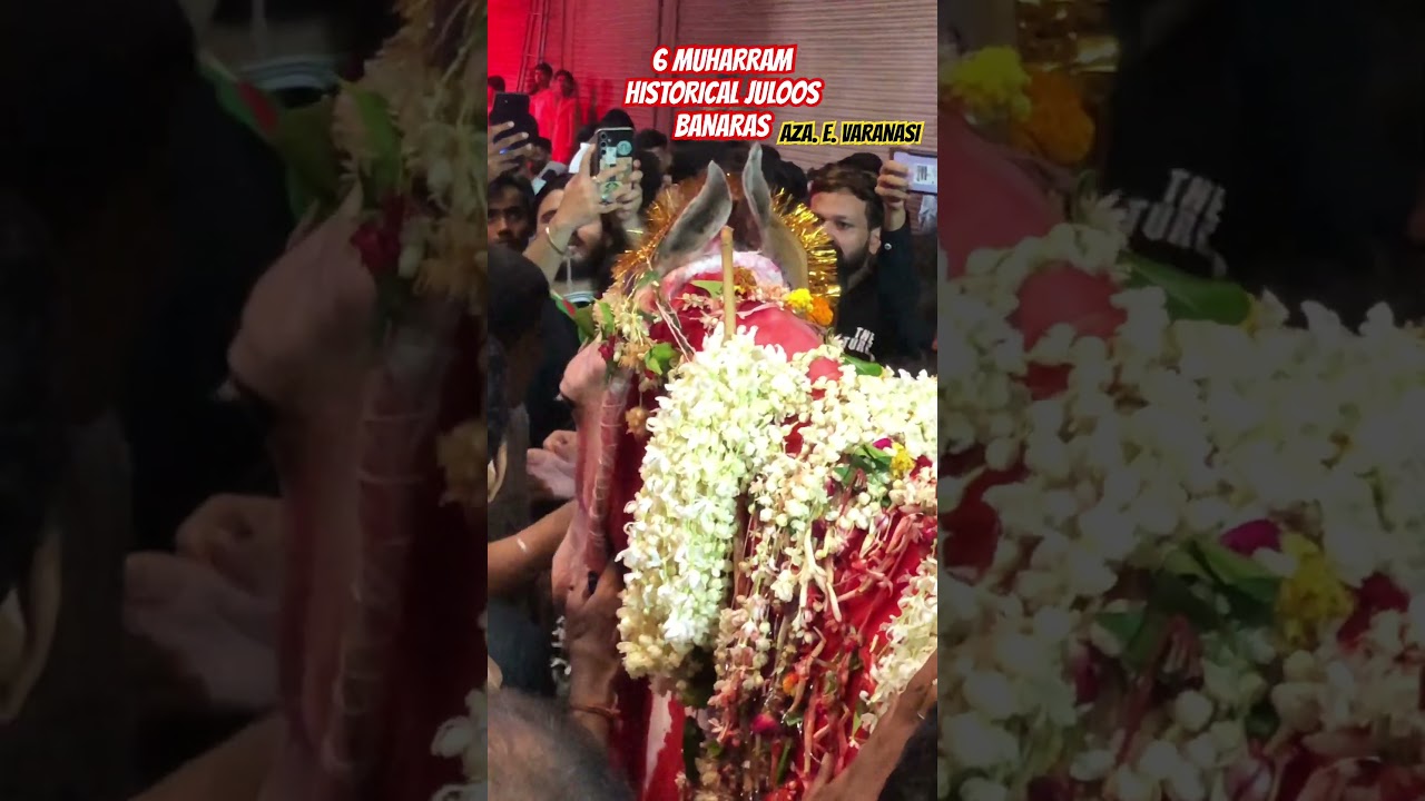 || 6 MUHARRAM HISTORICAL JULOOS BANARAS || #yaali #nohahazratabbas #nohay2020 #mesumabbas #zuljanah