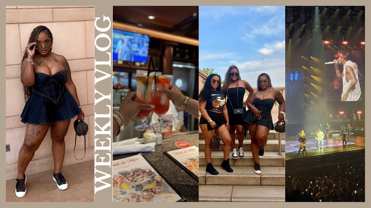 VLOG | 24 HOUR ROADTRIP TO DALLAS + CHRIS BROWN CONCERT + GIRLS NIGHT OUT + CRAZY SHENANIGANS & MORE