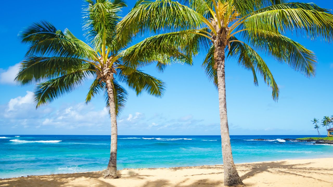Smooth Jazz Morning Escape – Positive Bossa Nova At A Shaded Seaside Cafe For Calm Focus