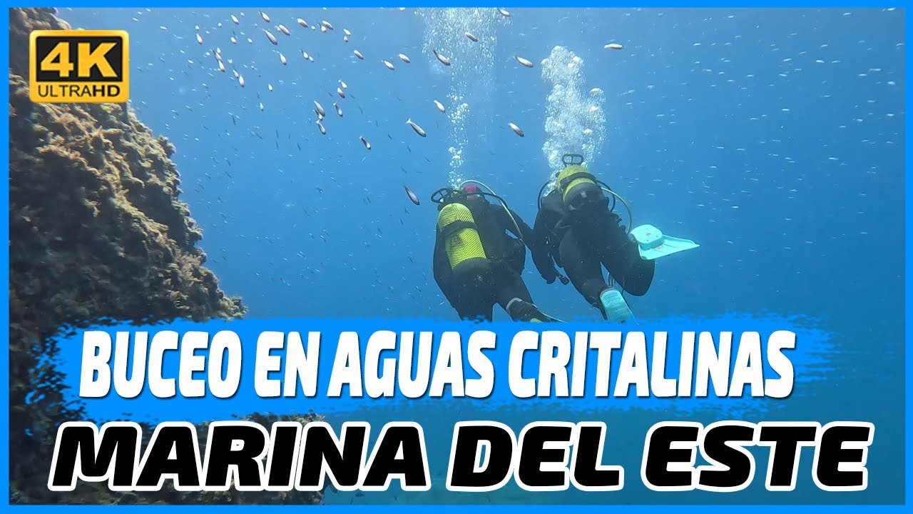 🐠 Día de Buceo en Marina del Este: Bautismo de Buceo