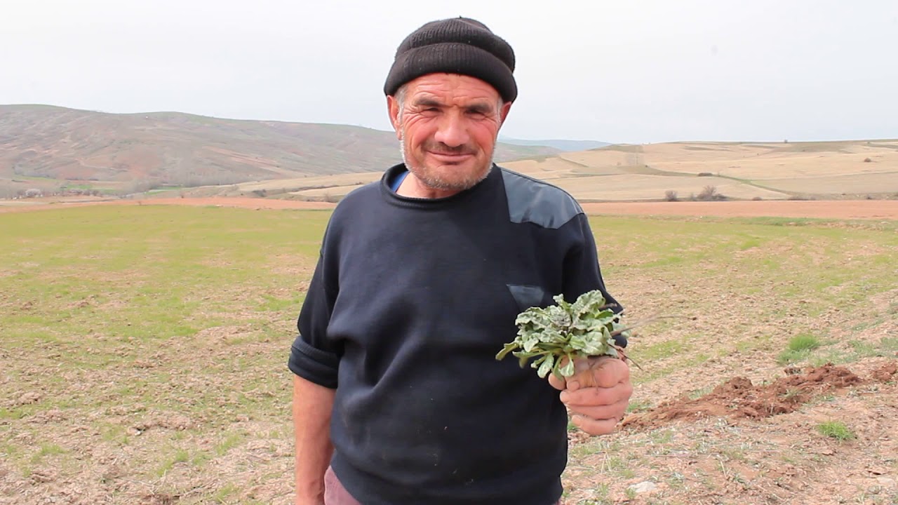 KEKLİKOĞLU BELGESELİ 3.BÖLÜM:ÖNER ÇALIŞ:05332358125