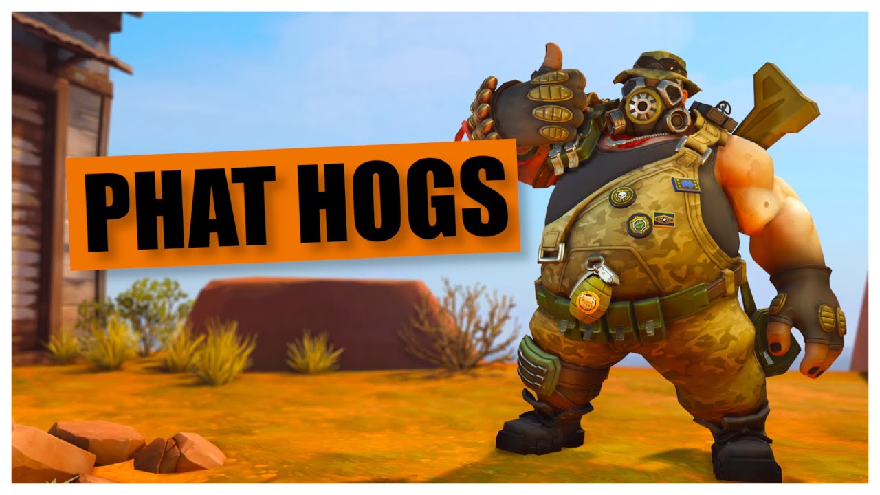 UNLIMITED HOGS | Overwatch 2 Custom game Funny moments