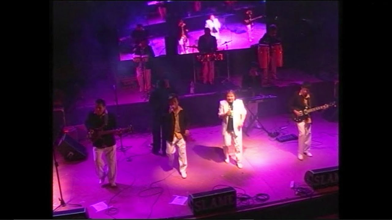 Raul Pastor y El Sonido de Los Mirlos EN VIVO | Festival Aguada del Zorro AGUARAY ARG | Cumbiones