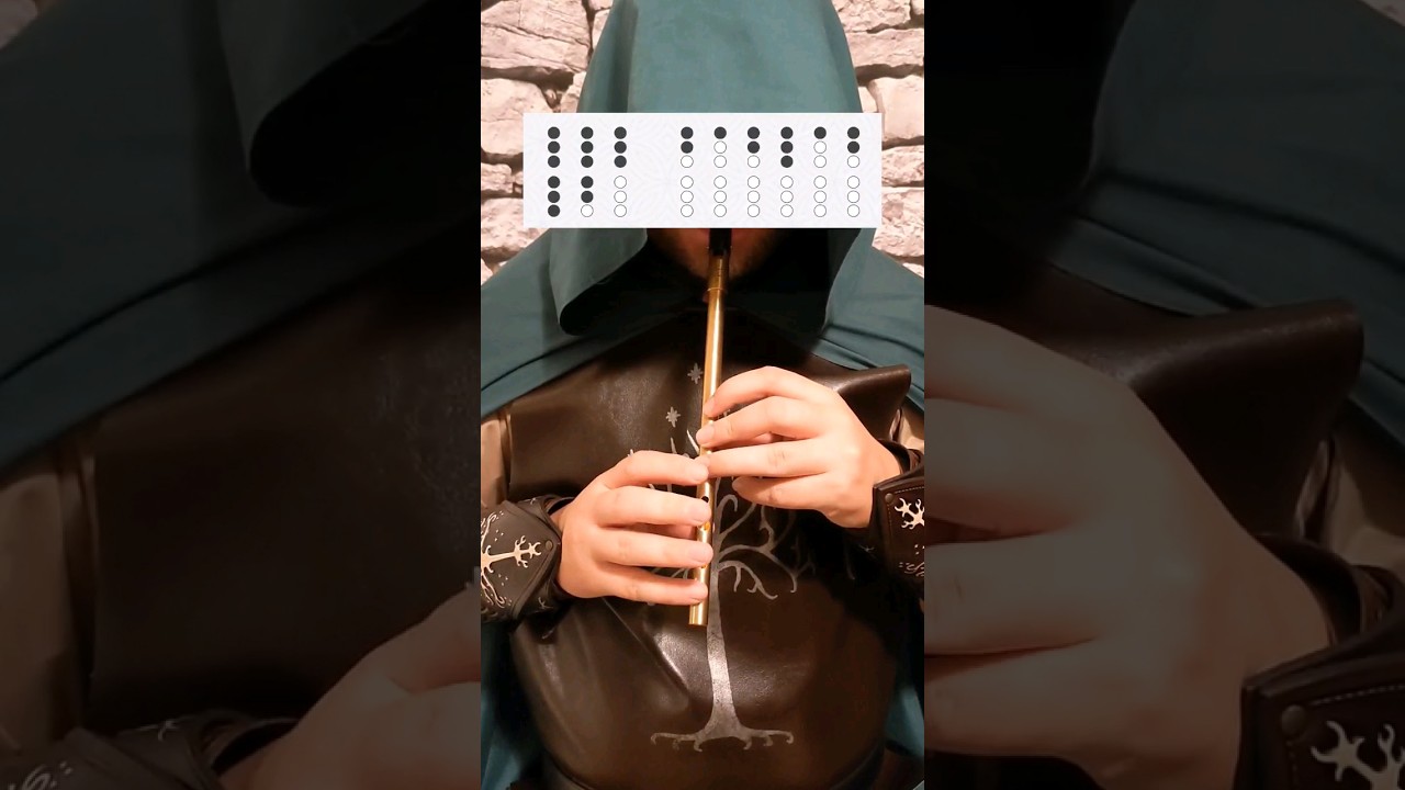 Hobbit party song tutorial #tinwhistle #lotr #lordoftherings