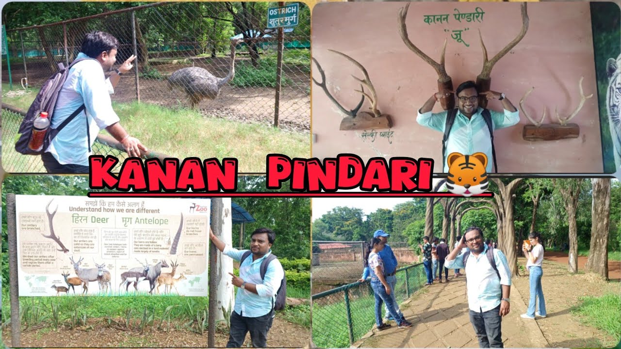 Kanan Pindari Zoo Bilaspur Chhattisgarh all details #vlog #bilaspur #chhattisgarh #tourism #travel