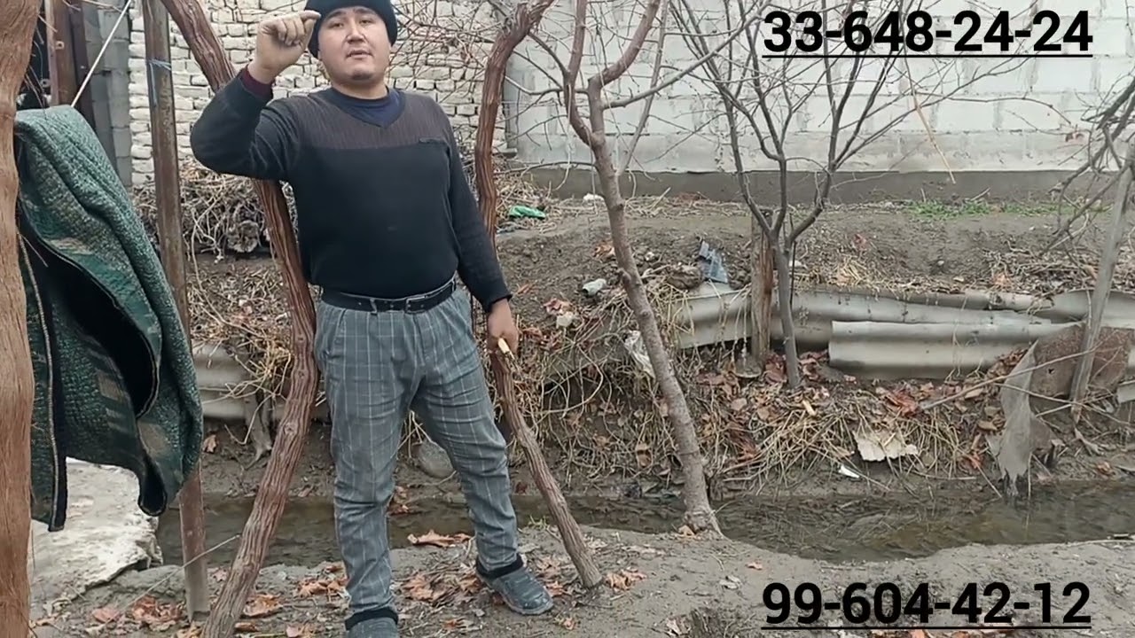Uzumchilik  2023