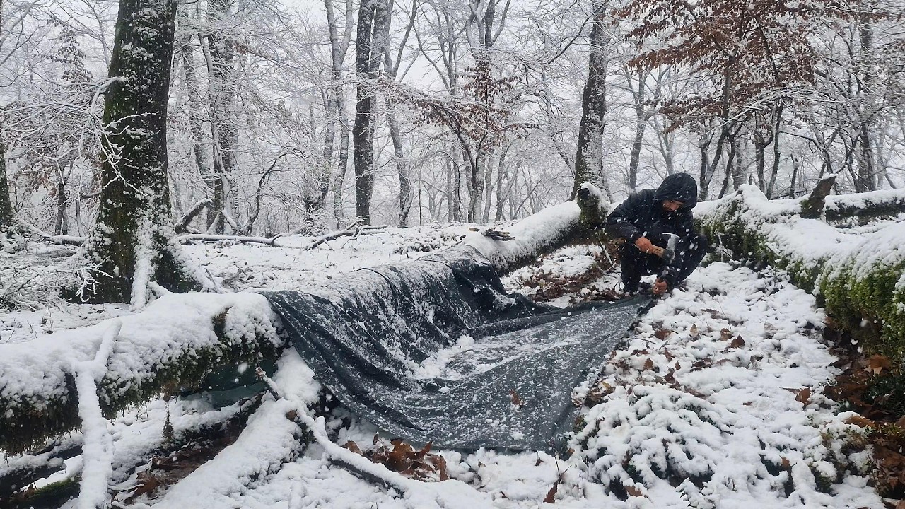 Extreme Winter Survival Camping ❄️ | 16°F Freezing Cold | No Tent, No Sleeping Bag