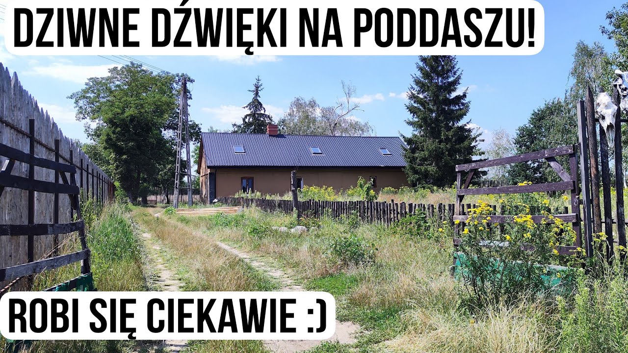 BRZOZA-CZY TO SŁUSZNA DECYZJA? DZIAŁAM NA PODDASZU!