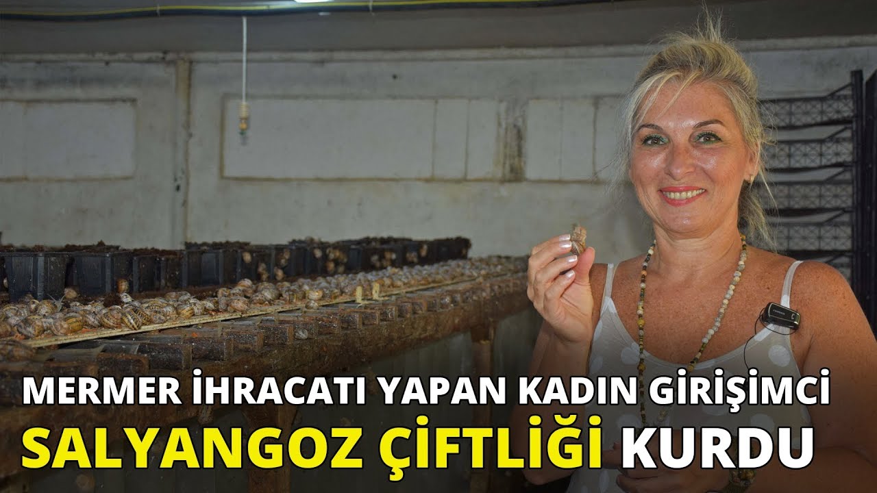 Mermer ihraç eden kadın girişimci, salyangoz çiftliği kurdu