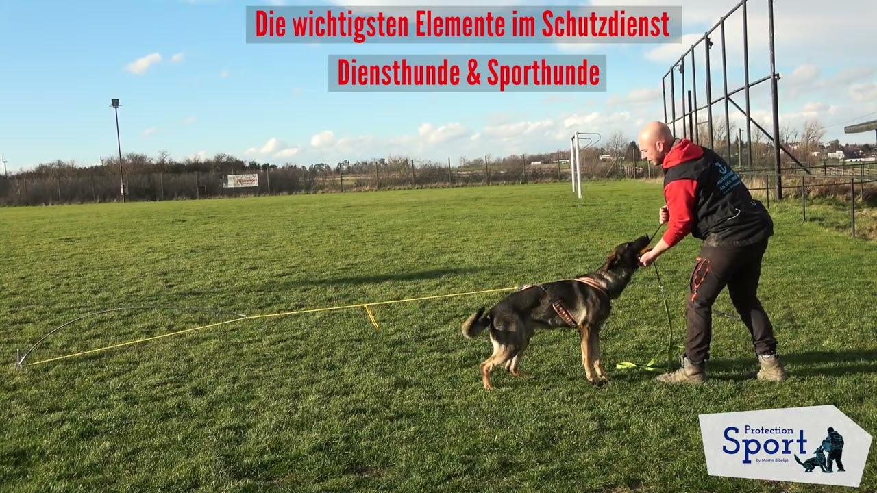 Der Motivationswechsel 