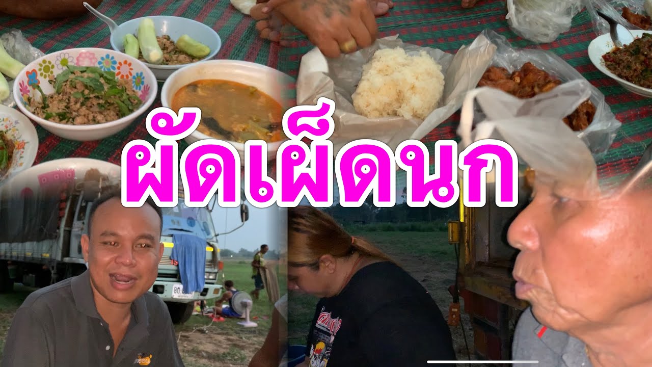 กินข้าวแลงหลังฮ้านกับยายแหลมหนุ่มโจจารย์หรอยใหญ่ลี ผัดเผ็ดนก แซ๊บคัก!!
