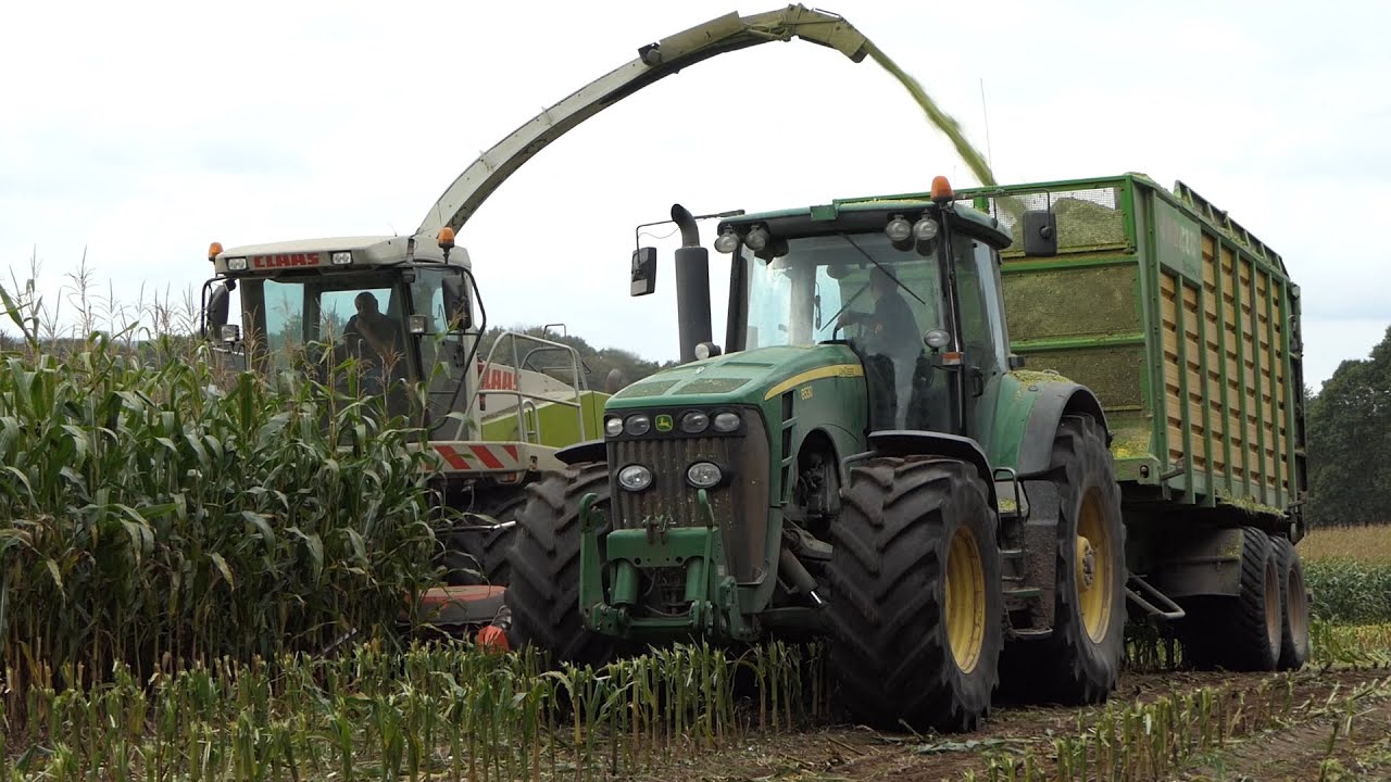 Claas Jaguar 850 in the field chopping down corn | Corn Silage Season 2020 | DK Agriculture