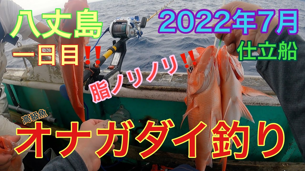 八丈島でコマセ釣り  オナガダイ釣りの様子