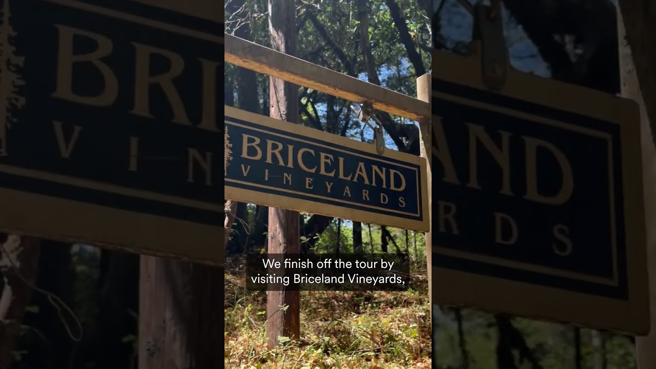NorCal&rsquo;s Ultimate Weed & Wine Tour: Cannabis Farms and Wine Tasting in Humboldt