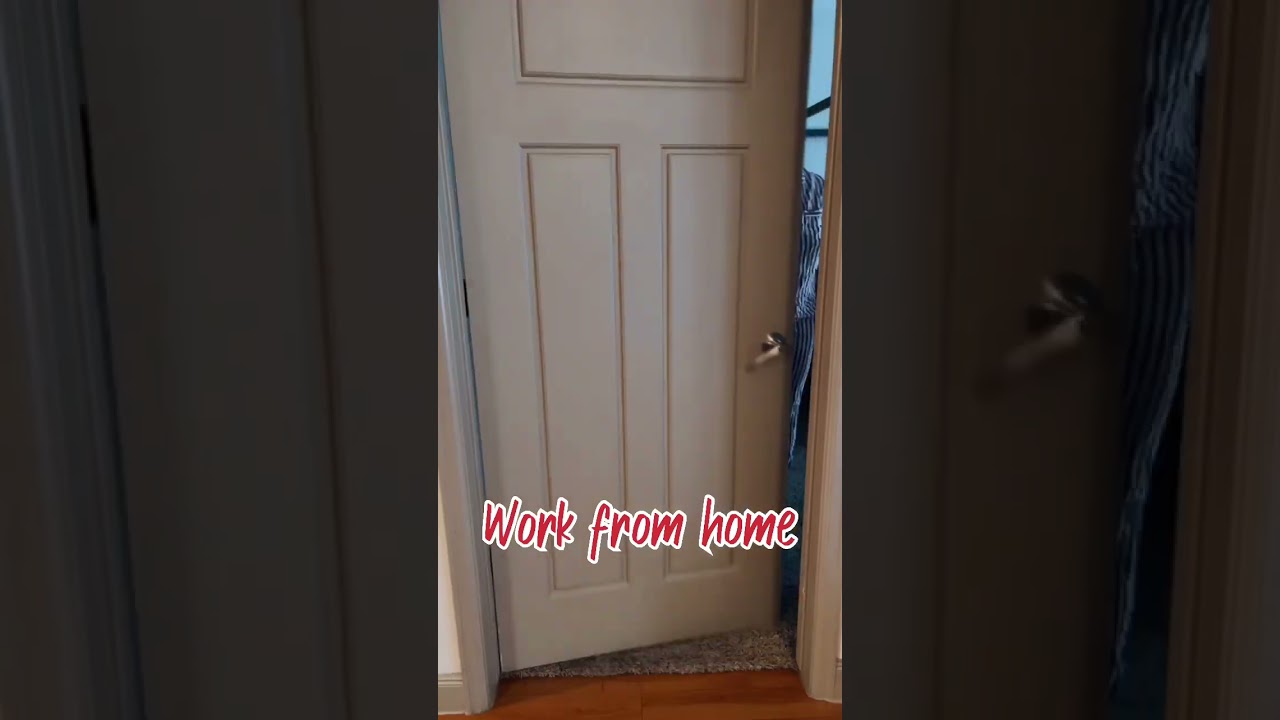 Work from home jobs be like… 