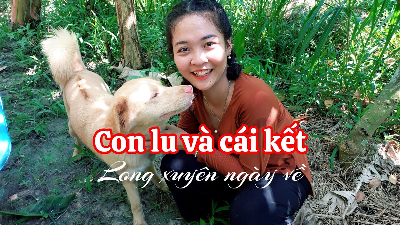 Vietnamese ngày cuối thu 