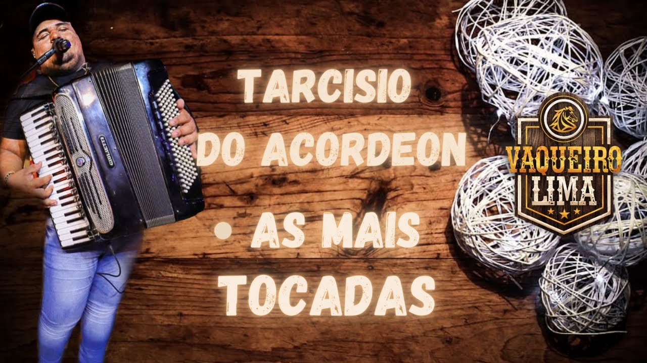 AS 3 MÚSICAS MAIS TOCADAS NA VOZ DO TARCISIO DO ACORDEON | TOADAS