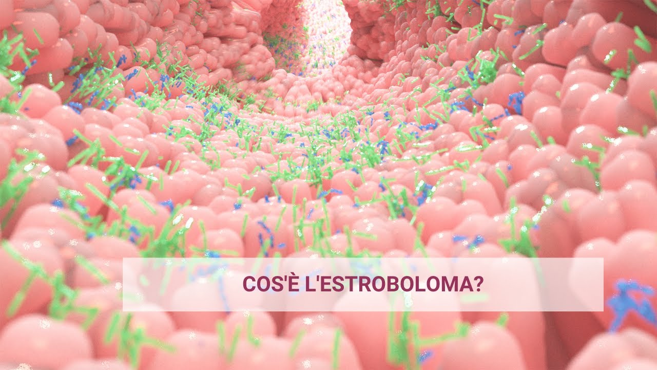 COS'&Egrave; L'ESTROBOLOMA