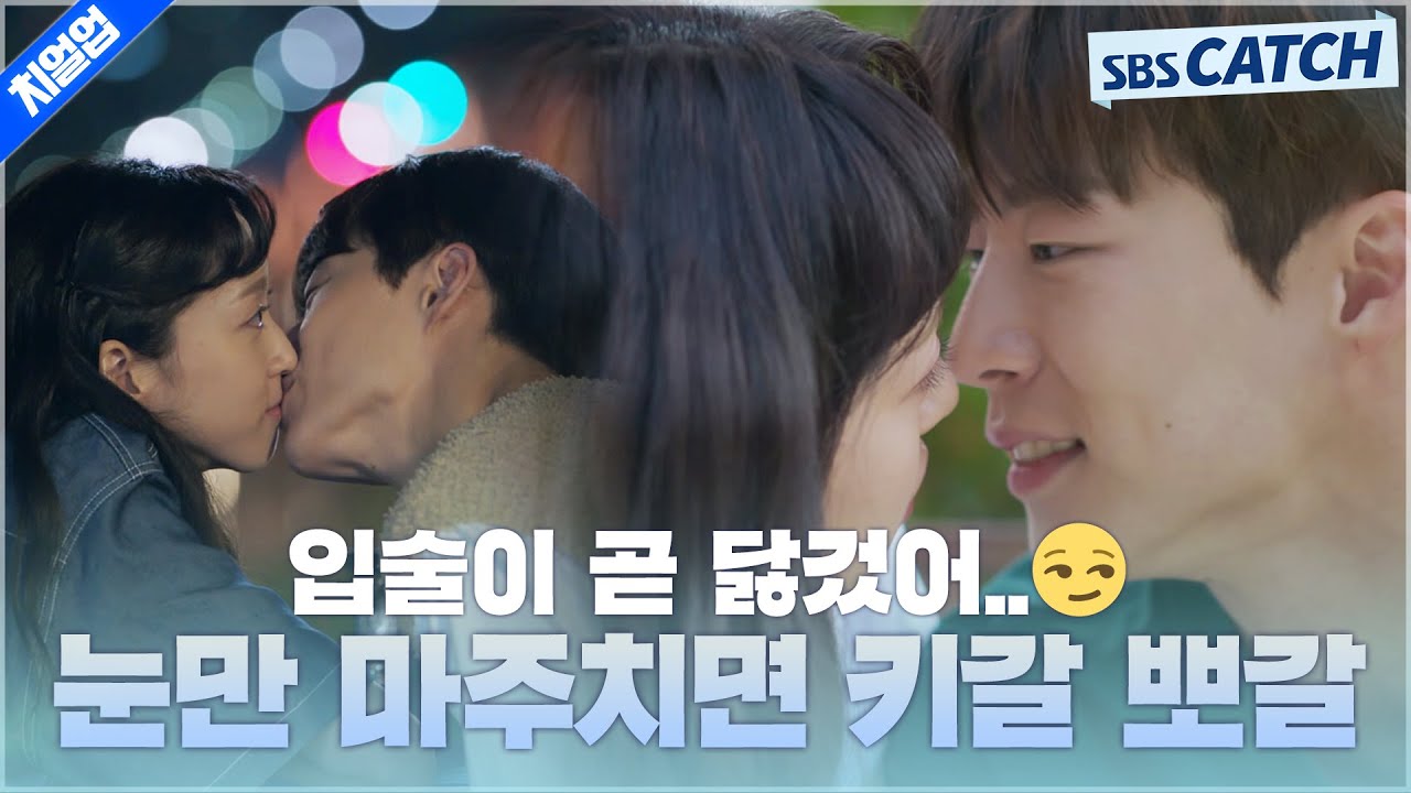 [요약] 눈만 마주치면 키갈, 뽀갈 해버리는 이 FOX들🦊 이런 급발진 사랑합니다!! #치얼업 #SBSCatch