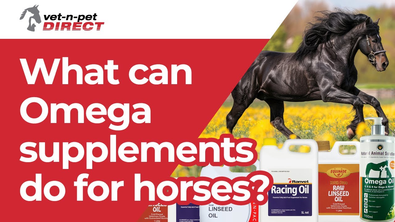 What can Omega supplements do for horses?