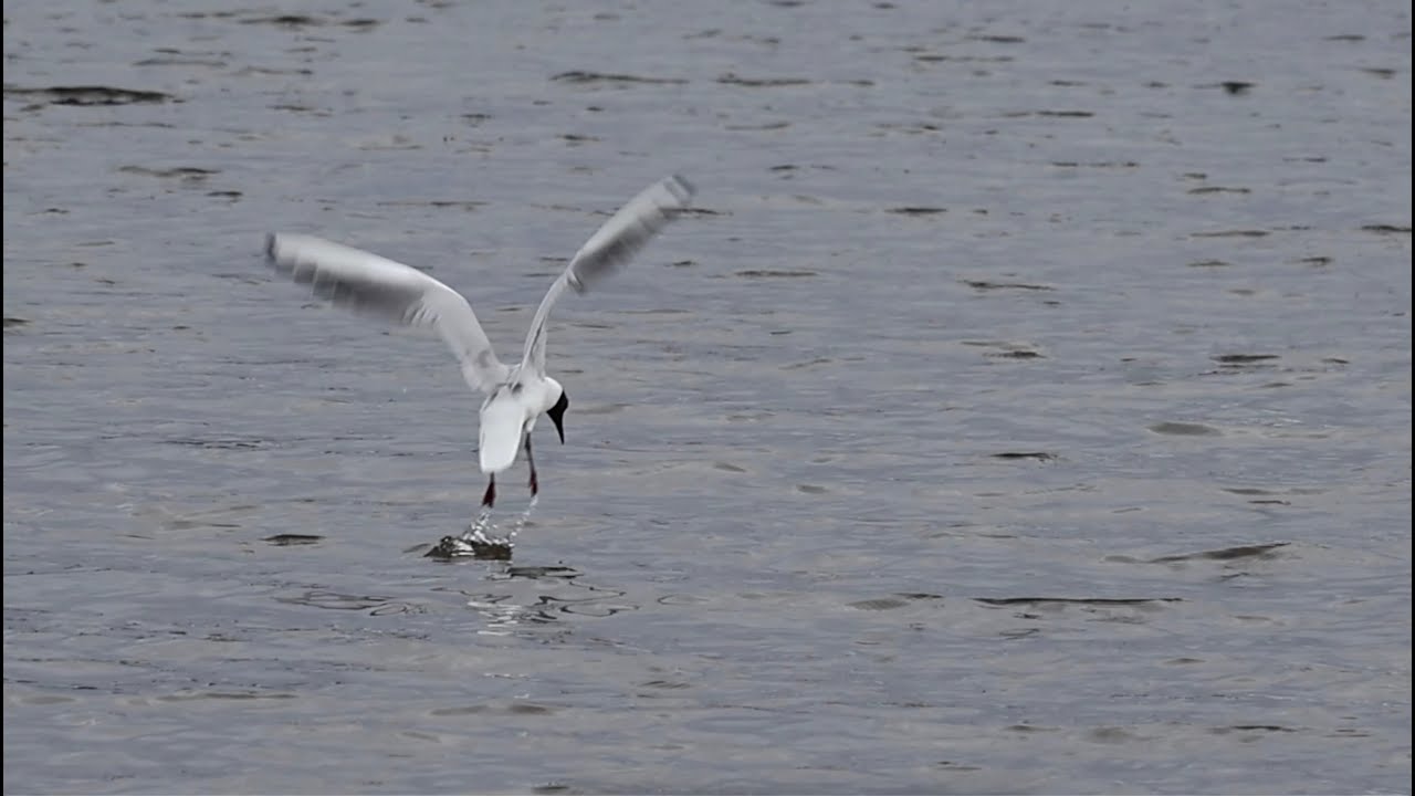 Szenen am Wasser (Natur genießen in Schweden)