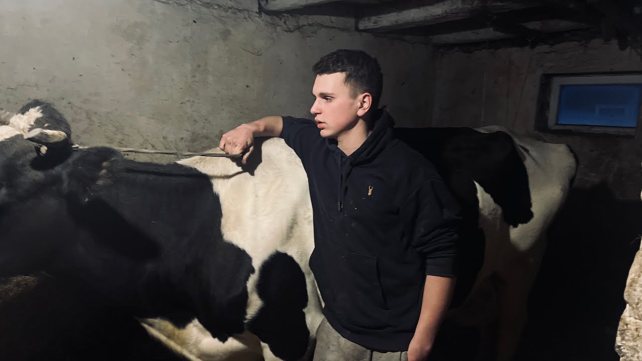 ВІДКРИВАЄМО СИЛОС🌽для КОРІВЧИНИ 🐄!!! ХАТА НА БРАТА…