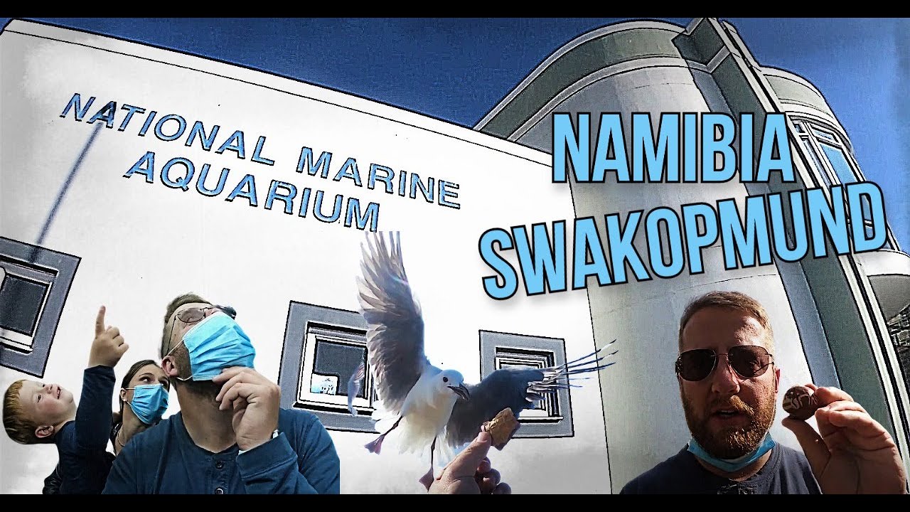 Namibia | National Marine Aquarium