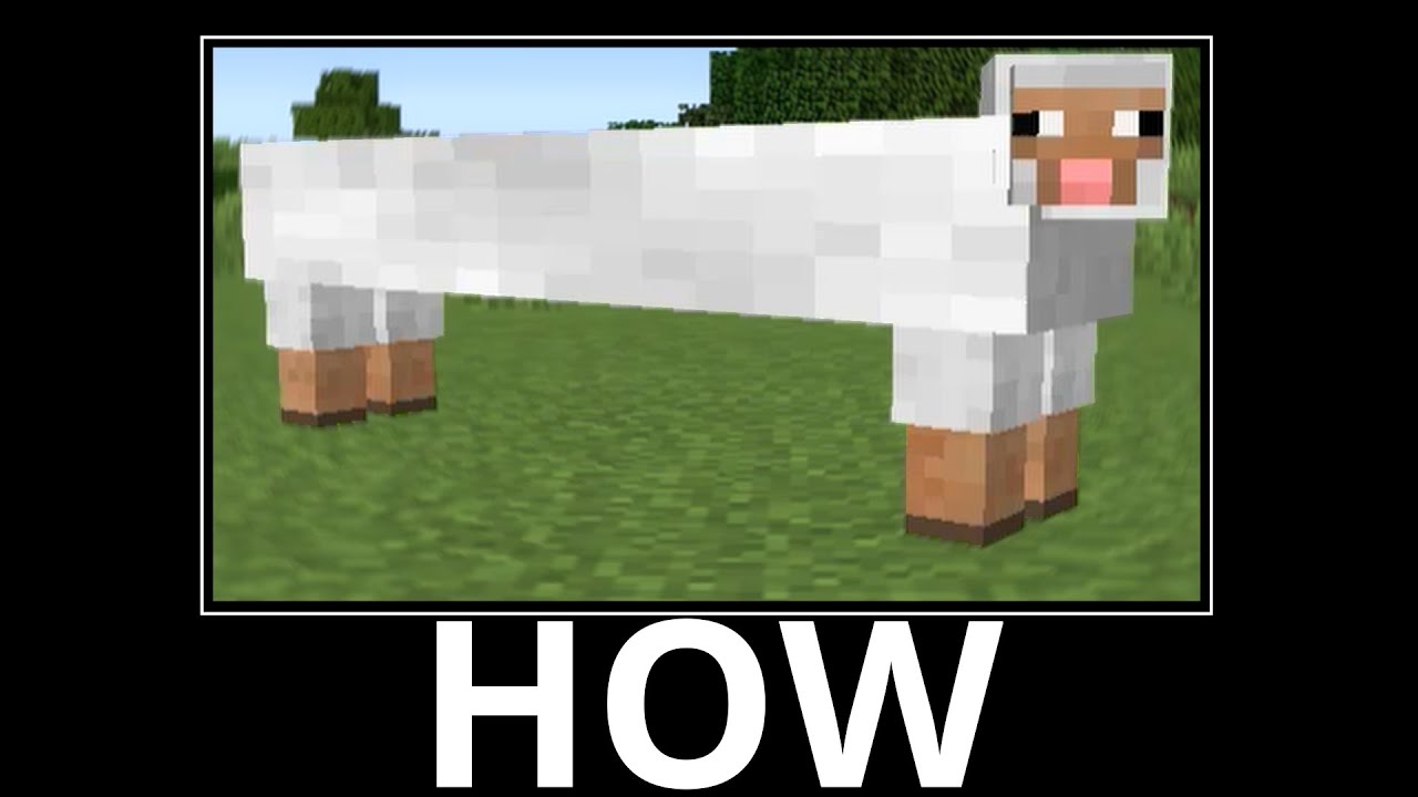 WAIT WHAT (Minecraft) #24