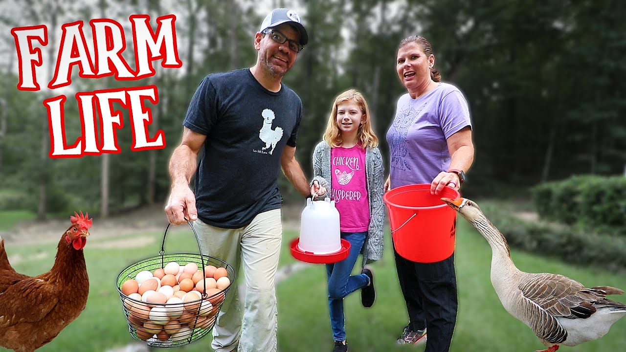 Caring For ALL Our Animals As A Family [Daily Farm Chores]