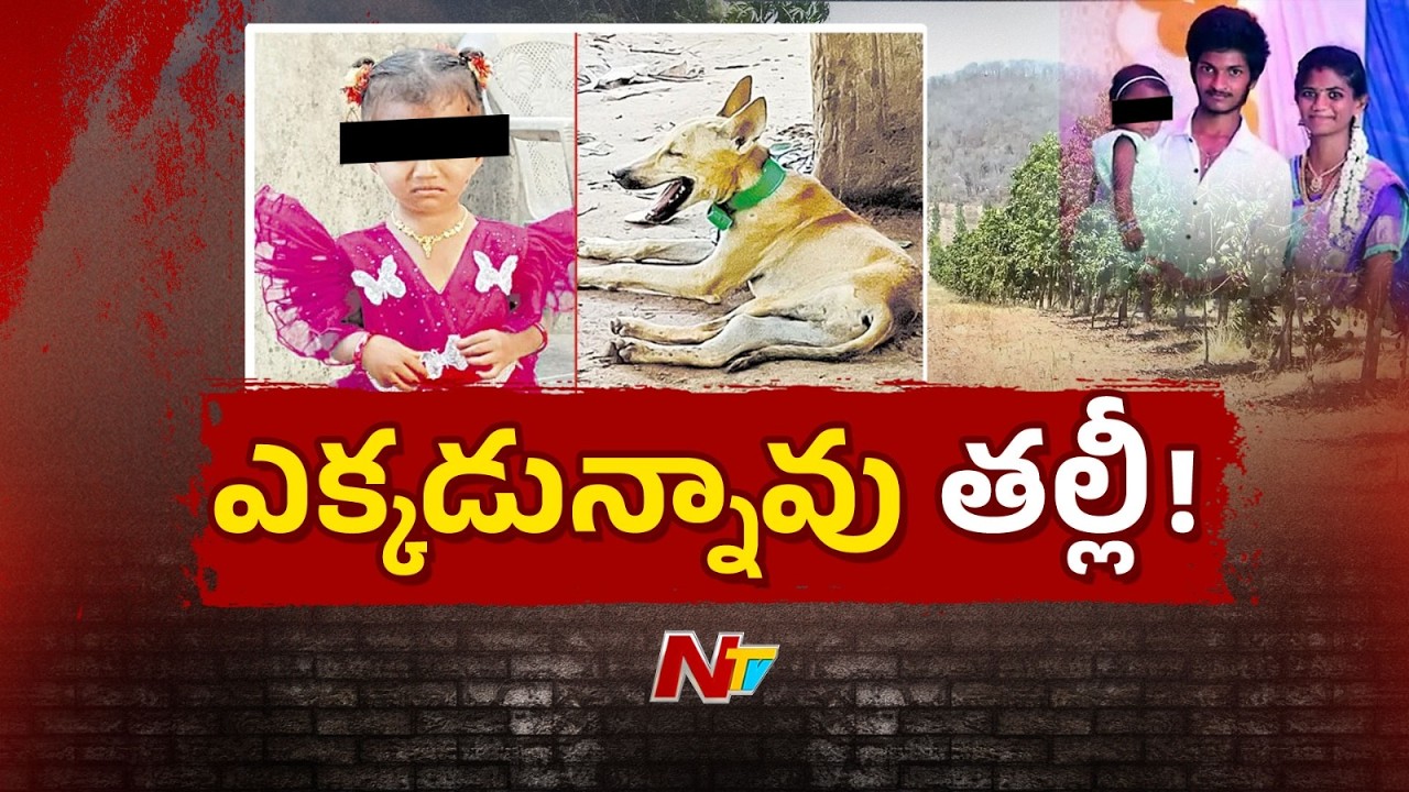 Kakinada : Search for Gyaneshwari continues in Kakinada district CH Agraharam | NTV Telugu