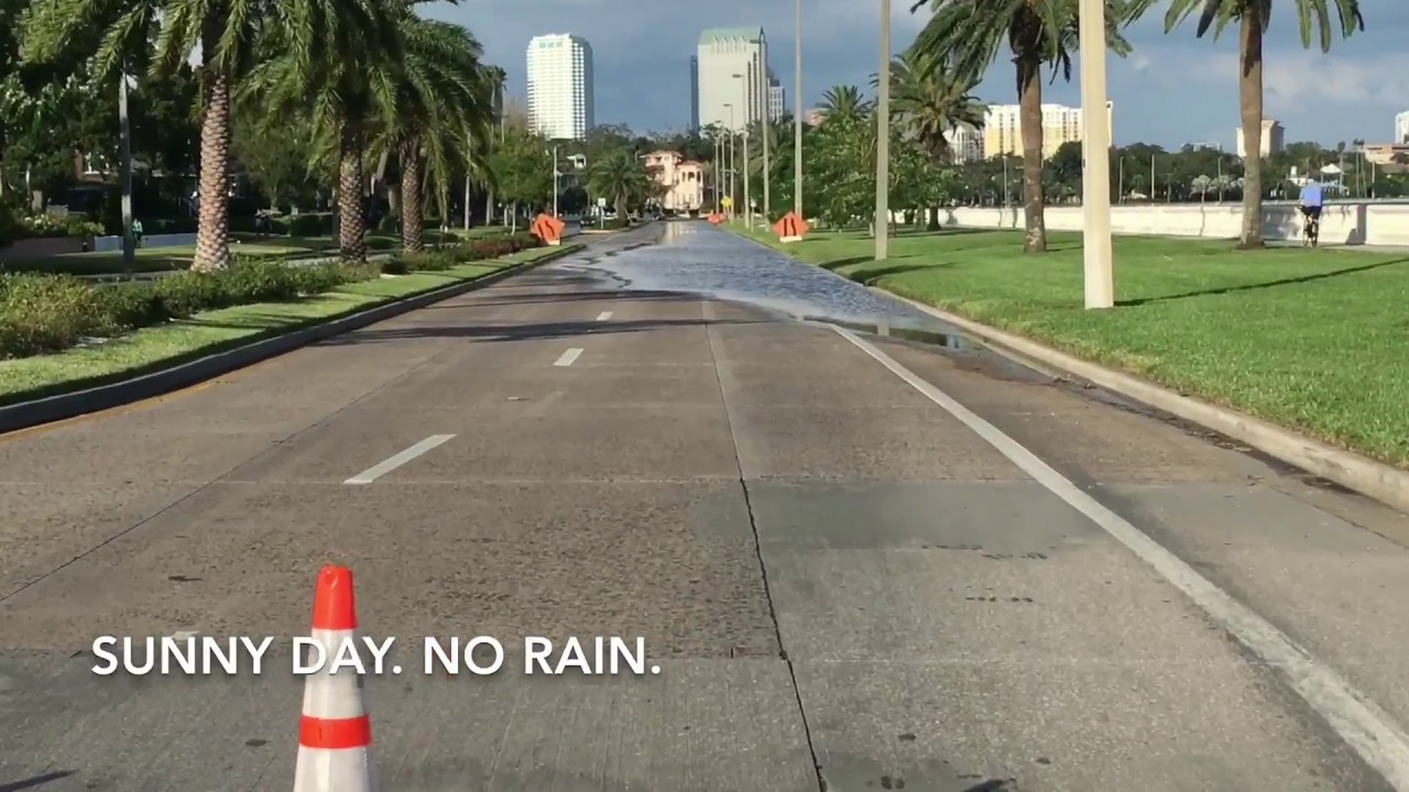 King Tide surge in Tampa Bay. October 7, 2017