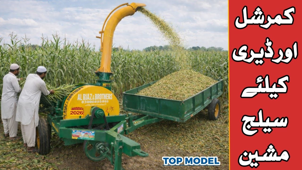 Silage machine new model work for massey fiat ghazi tractor commericl use 8-10 blade conveyor belt 