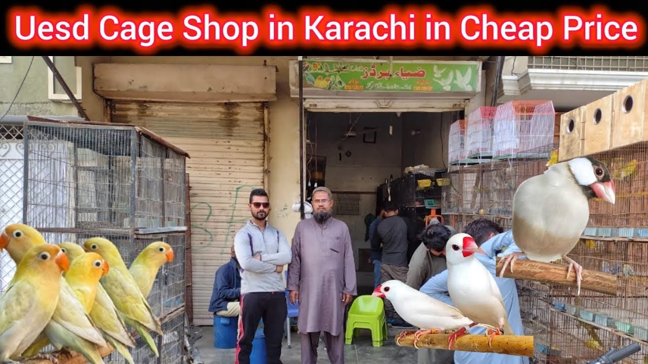 Birds Cages Price Update 2024 | Used Cage available in Zia Ahmed Birds Shop | All kind of birds Cage