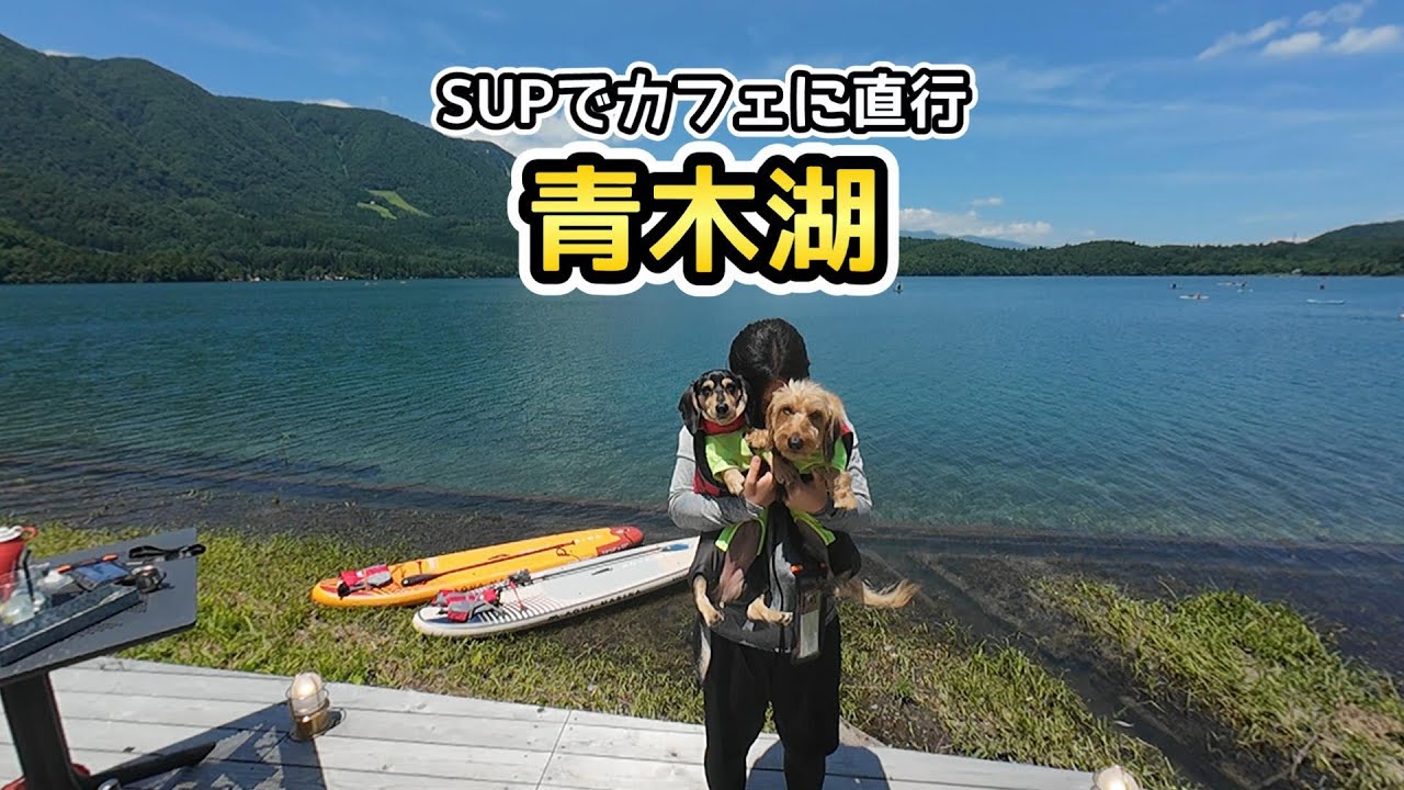 SUPで、そのまま行ける青木湖畔の大人気カフェでまったりした【ミニチュアダックスフンド】Lake Aoki