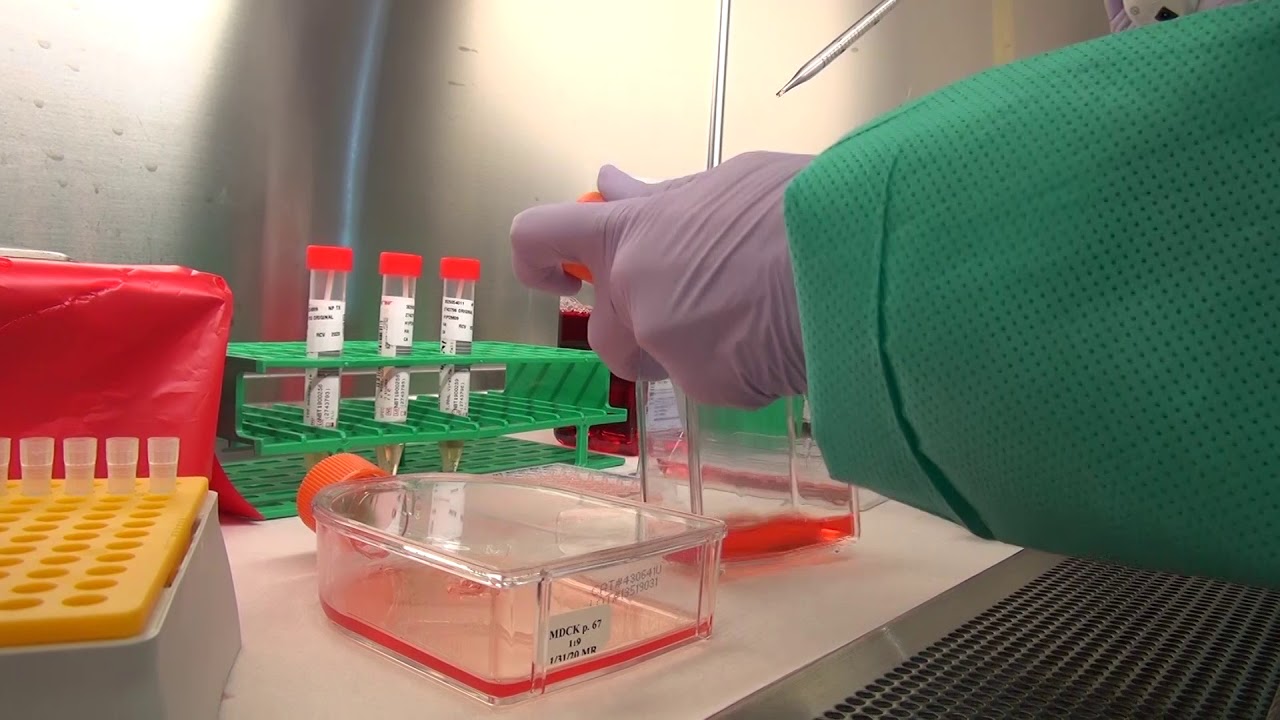 CDPH: Richmond Lab