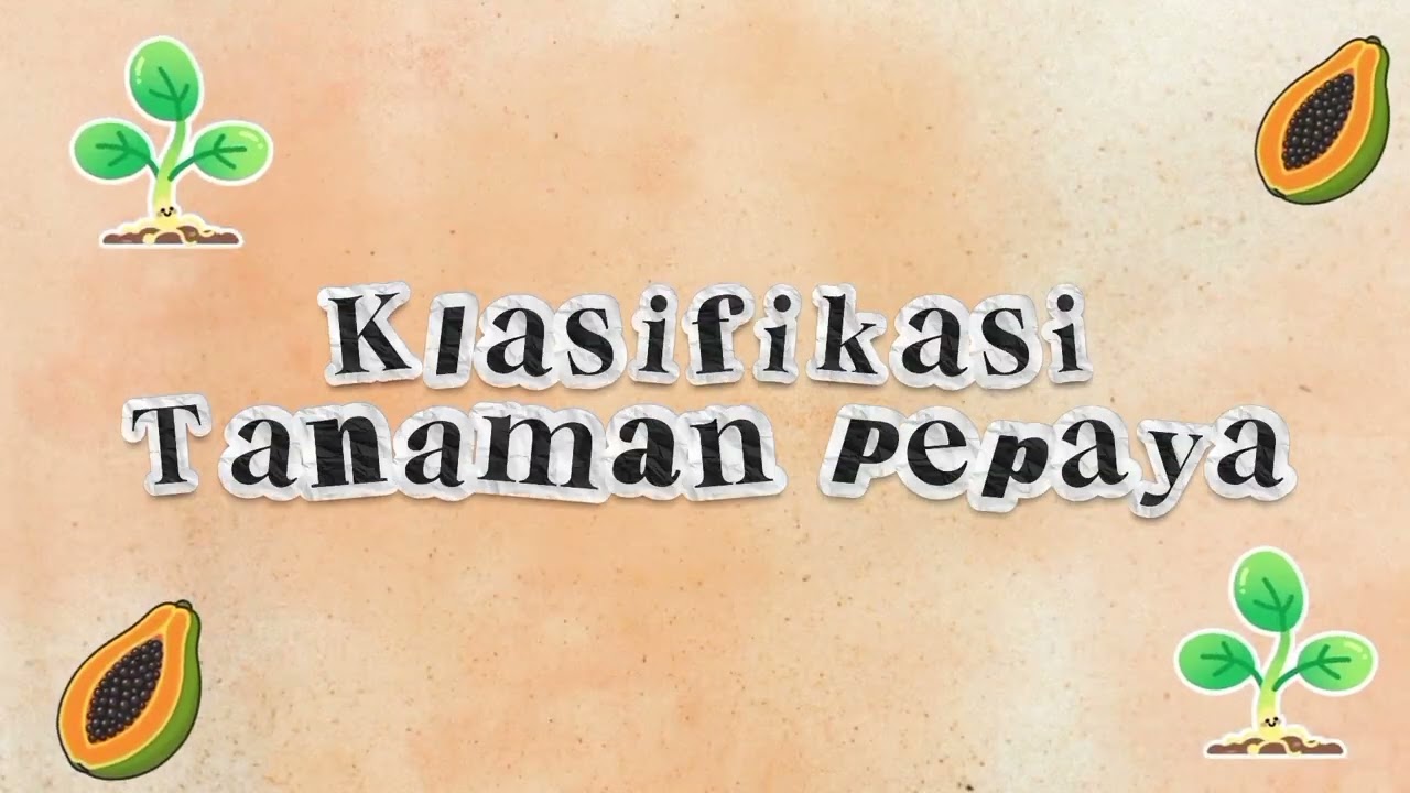 Menanam Tanaman Pepaya di Lingkungan Sekolah. Kelompok 6 Kelas 12 IPA 3.