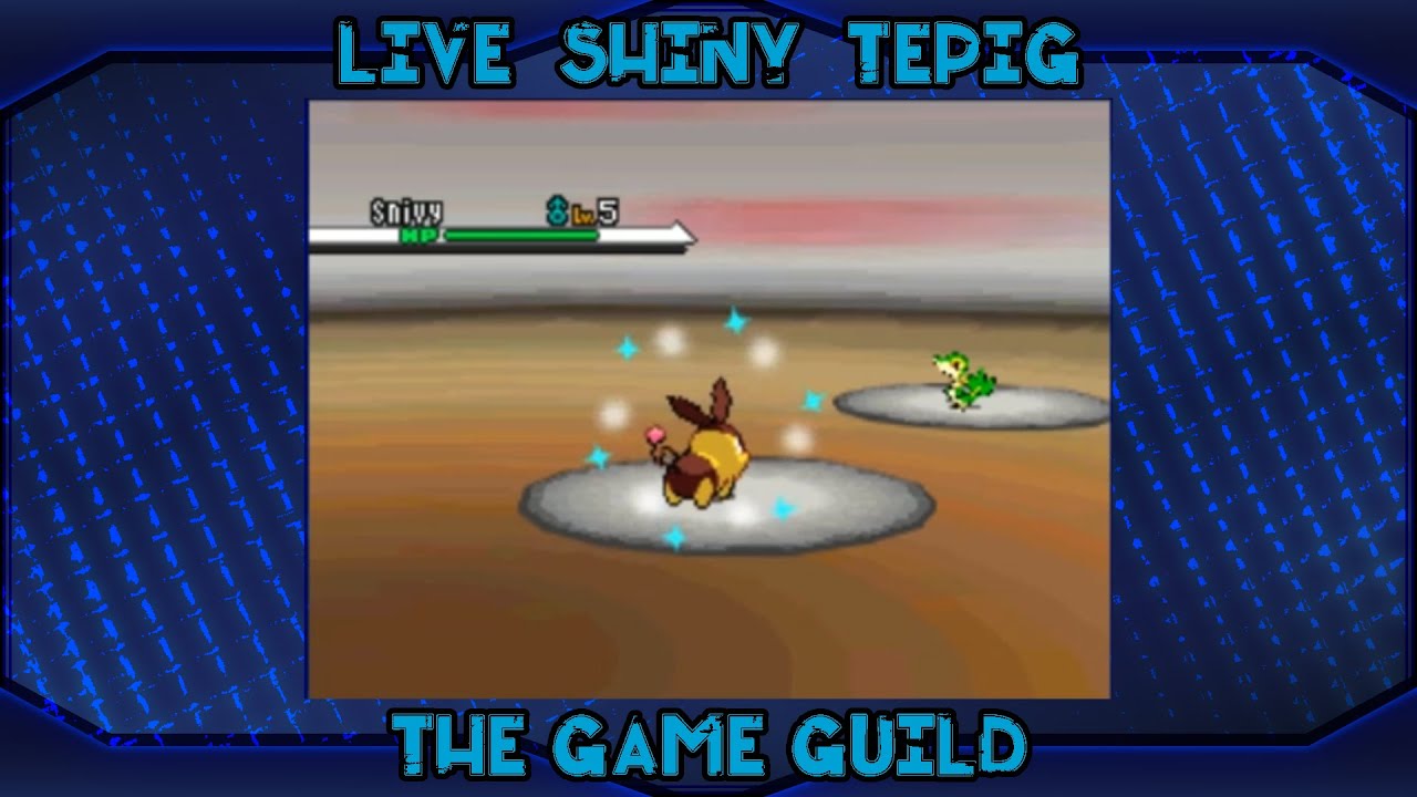 [Live] Shiny Tepig in Black