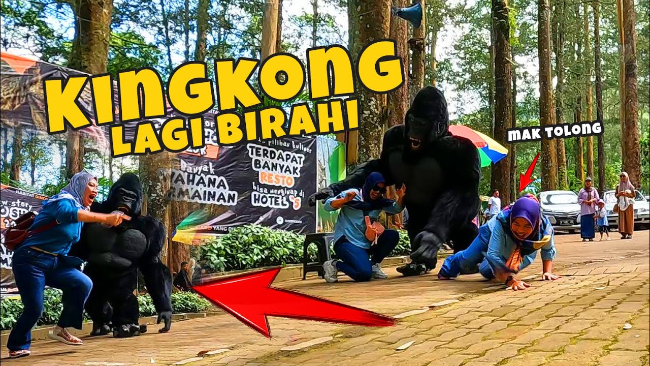 Prank tergokil II Mak mak bikin heboh II Kena mental Godain kingkOng  #prank