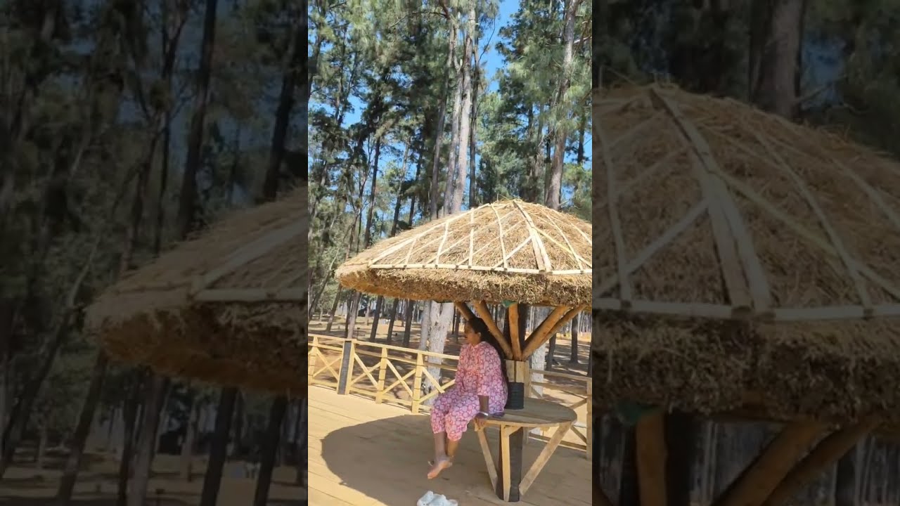 అరకు పినరీ #youtube #famous #nature @అనుదినమన్నా 